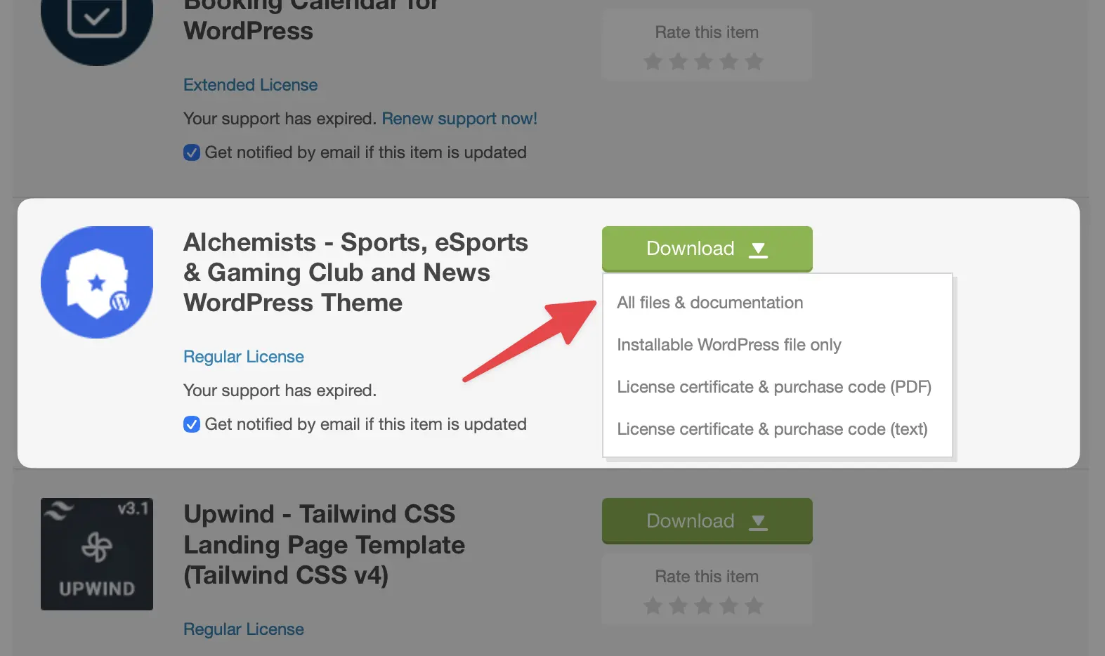 Themeforest downloads